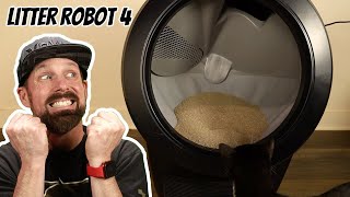 LitterRobot 4 Review Is This the Ultimate Cat Litter Solution [upl. by Nahseez]