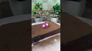 Delicious Chocolate Pudding Cake Recipe You NEED to Try [upl. by Ytsirhc]