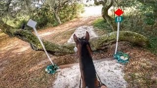 GoPro Renkum Corsair Open Preliminary  2022 Rocking Horse Winter II [upl. by Inalem]