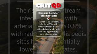 Common Catheter Placement Sites [upl. by Gmur]