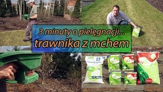 3 minuty o pielęgnacji  trawnika z mchem [upl. by Mimi]