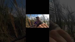 The Prairie Woodsmen Teaser Iowa Marsh Birds Rail Hunting [upl. by Yrahcaz907]