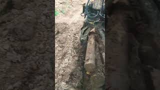 Tree head excavator grabbing wood [upl. by Critchfield]