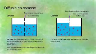 Endocytose exocytose diffusie osmose actief en passief transport  Transport in en uit cellen [upl. by Shipp]