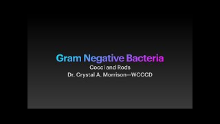 Lecture 7 Gram Negative BacteriaCocci and Rods with Dr Crystal A Morrison [upl. by Elokcin]