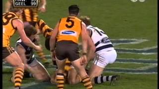 Hawthorn vs Geelong 1999 [upl. by Artapoelc]