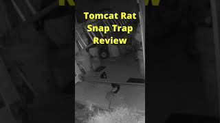 Tomcat Rat Snap Trap Review [upl. by Coop696]