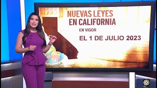 Entran en vigor nuevas leyes en California el 1 de julio de 2023 [upl. by Ayekel417]