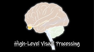 Perception HighLevel Visual Processing ENGKOR [upl. by Bainter594]