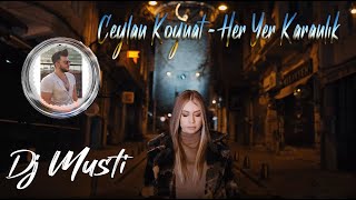 Her Yer Karanlık roman havası ritim 2021 CEYLAN KOYNAT FEAT DJ MUSTİ [upl. by Esalb]