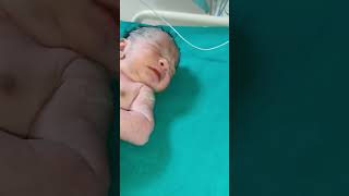 New born first cry newborn baby cute youtubeshorts shorts shortsvideo viralshorts viralvideo [upl. by Dnomse]