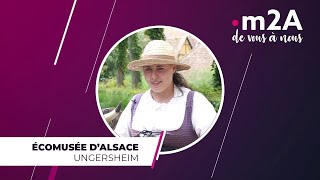 Écomusée dAlsace à Ungersheim  m2A de vous à nous [upl. by Langelo]