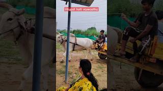 Bullock cart riding shorts minivlogs funny [upl. by Esilram]