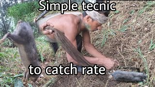 Simple tecnic to catch rat simple rat [upl. by Senhauser]