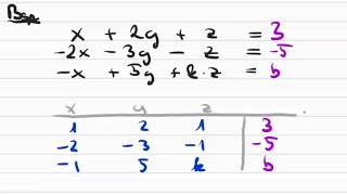 Lineares Gleichungssystem mit Konstanten  MatheBeispiele [upl. by Llewoh728]