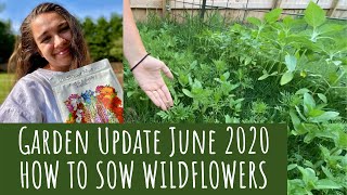 GARDEN UPDATE June 2020 amp How to Sow WILDFLOWERS amp SEED SAVING Techniques [upl. by Wagner]