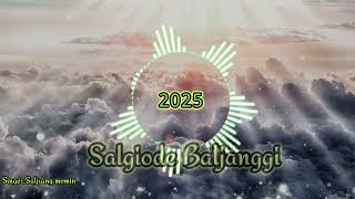 Salgiode Baljanggi Garo Christmas song  Saljrang momin  2025 [upl. by Bibby277]