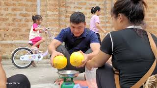 Harvesting the cantaloupe garden to sell  Clearing painted grass  Installing kitchen panels [upl. by Undis]