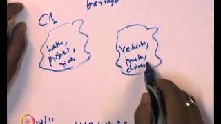 Mod01 Lec35 Word Sense Disambiguation Semi  Supervised and Unsupervised method [upl. by Roberson]