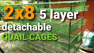 Detachable QUAIL CAGE  Quail Farming pugo KulunganNgPugo [upl. by Nerak]