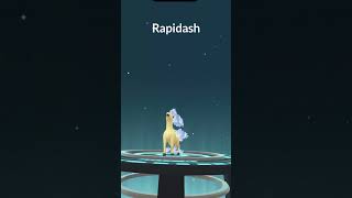 Evolving my shinies  Ponyta to Rapidash  pokemon pokemongo shorts [upl. by Glennis]