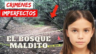 Crimenes Imperfectos  El Bosque Maldito  Documental Historia 2024 [upl. by Aya]