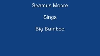 Big Bamboo  On Screen Lyrics  Seamus Moore [upl. by Toomay]