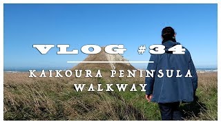 VLOG 34  KAIKOURA PENINSULA WALKWAY 🇳🇿 PVT NOUVELLE ZELANDE [upl. by Sulokcin419]