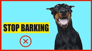 Noise Only Dogs Can Hear To Stop Barking [upl. by Nnahsal]