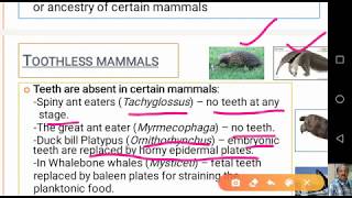 Dentition in Mammals [upl. by Ecirahs]