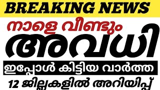 നാളെ വീണ്ടും അവധി🔥പുതിയ പ്രഖ്യാപനംഇപ്പോൾ വന്ന വാർത്ത kerala school news latest update [upl. by Naehs]