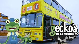 Gecko and the PARTY BUS  Geckos Real Vehicles  Educational Videos For Toddlers [upl. by Sollows719]