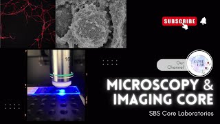 Introduction of SBS Microscopy amp Imaging Core CUHK [upl. by Jedlicka]