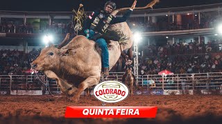 Rodeio de COLORADO 2024 QUINTA  MELHORES MOMENTOS [upl. by Edijabab]