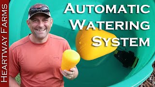 YOU CAN DO IT Setting Up Automatic Waterers For Livestock  Float Valve  Budget Watering System [upl. by Tihw445]