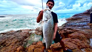 ROCK FISHING  BEACH CATCH AND COOK [upl. by Hortensa580]