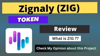 What is Zignaly ZIG Coin  Review About ZIG Token [upl. by Angadresma]