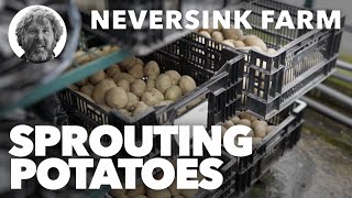 Sprouting Potatoes at Neversink Farm [upl. by Jamnis992]