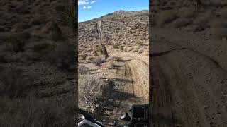 Baby BMW F 850 GS Conquers the Roller Coaster Hill Climbs [upl. by Neellok]