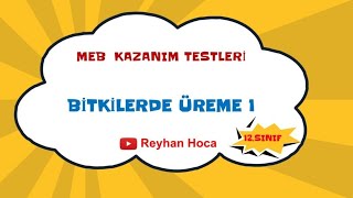 Bitkilerde Üreme MEB Kazanım Testleri Soru Çözümleri  1 [upl. by Amann]