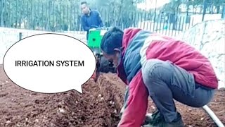 IRRIGATION SYSTEM INSTALLATION [upl. by Anyah]