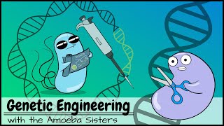 Genetic Engineering [upl. by Diver666]