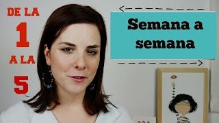 PRIMEROS SINTOMAS de EMBARAZO  PRIMER MES  SEMANAS 15 [upl. by Nyluqcaj258]