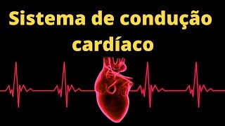 Sistema de condução cardíaco – Fisiologia Humana [upl. by Nnaharas]