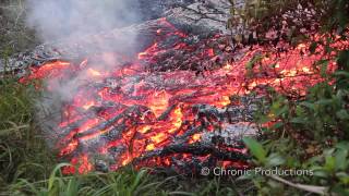 Pahoa Lava Flow [upl. by Ihcego635]