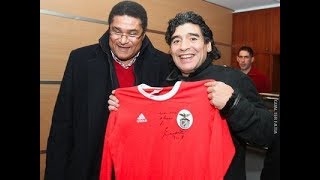 MARADONA VS EUSÉBIO  STATS [upl. by Ysnap649]