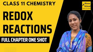 Redox Reactions In Full Shot  Class 11 Chemistry [upl. by Yboc842]