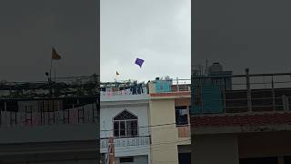 Kite looting from roof kitelooting viralvideo viralshort viralshorts [upl. by Gertrude255]