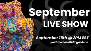 Tidal Gardens September 2023 Live Show [upl. by Shenan77]