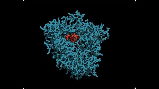 What is the Hepatic Microsomal Enzyme System [upl. by Annazor65]